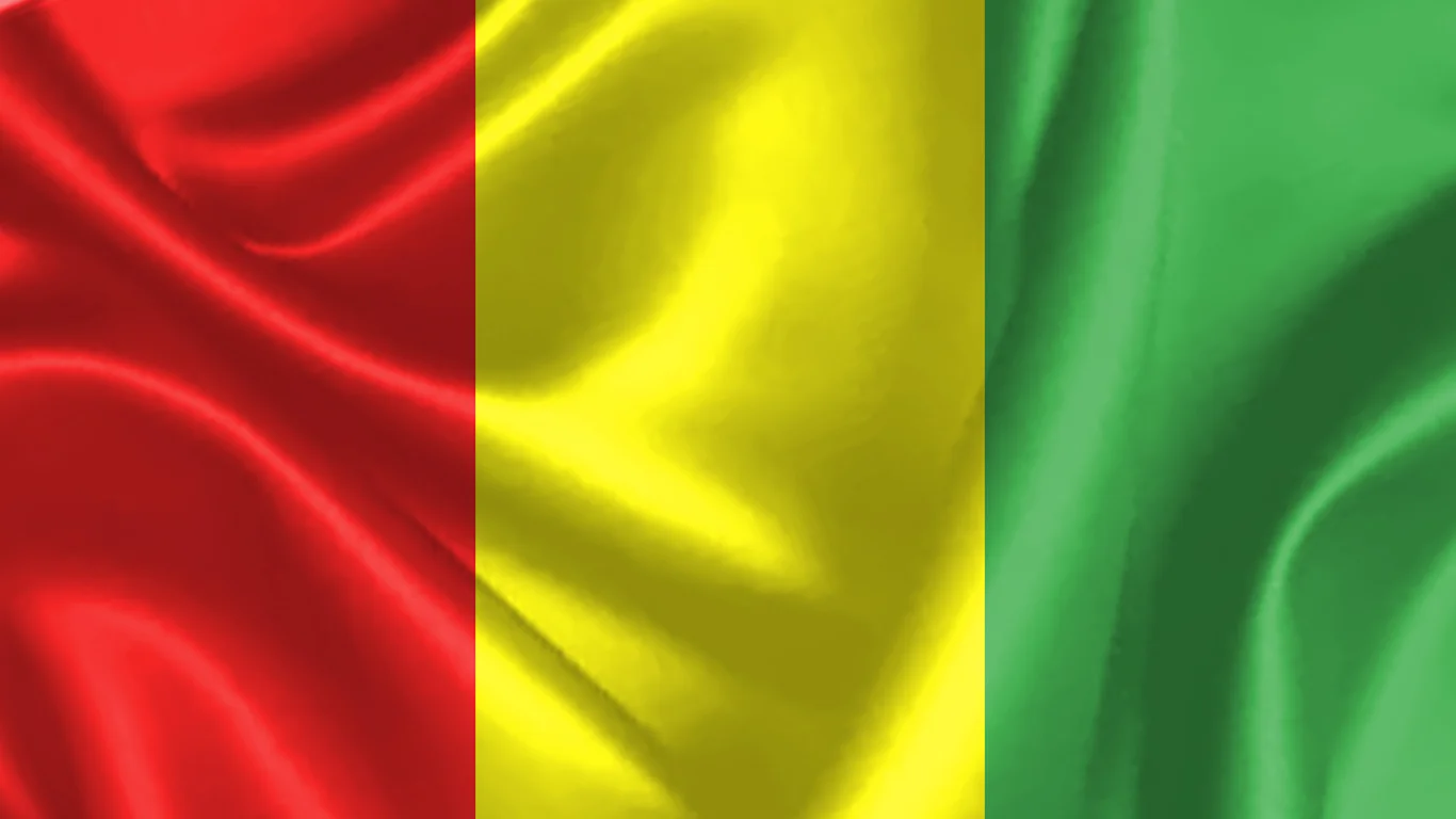 guinea.webp