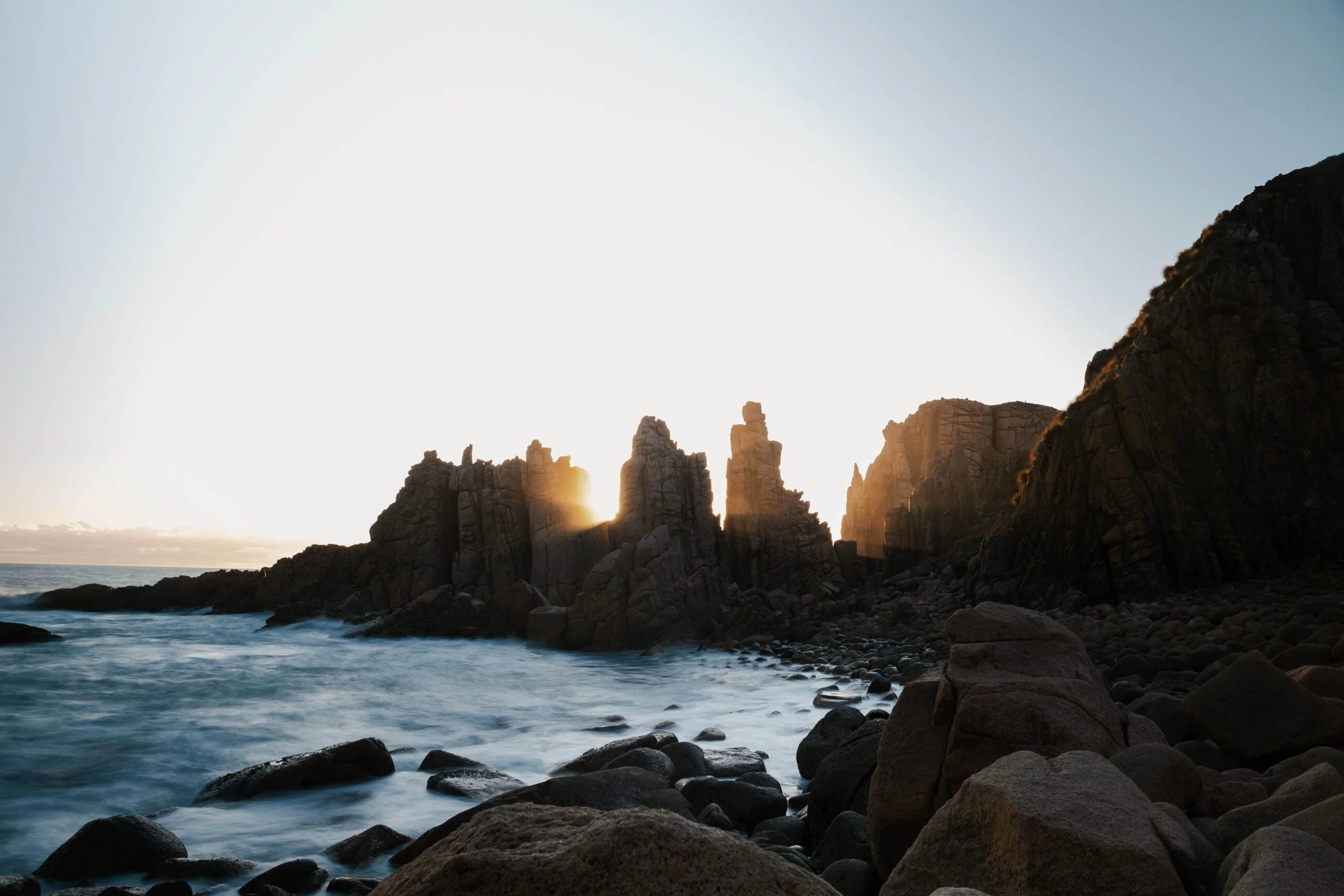 nature-scaled.webp