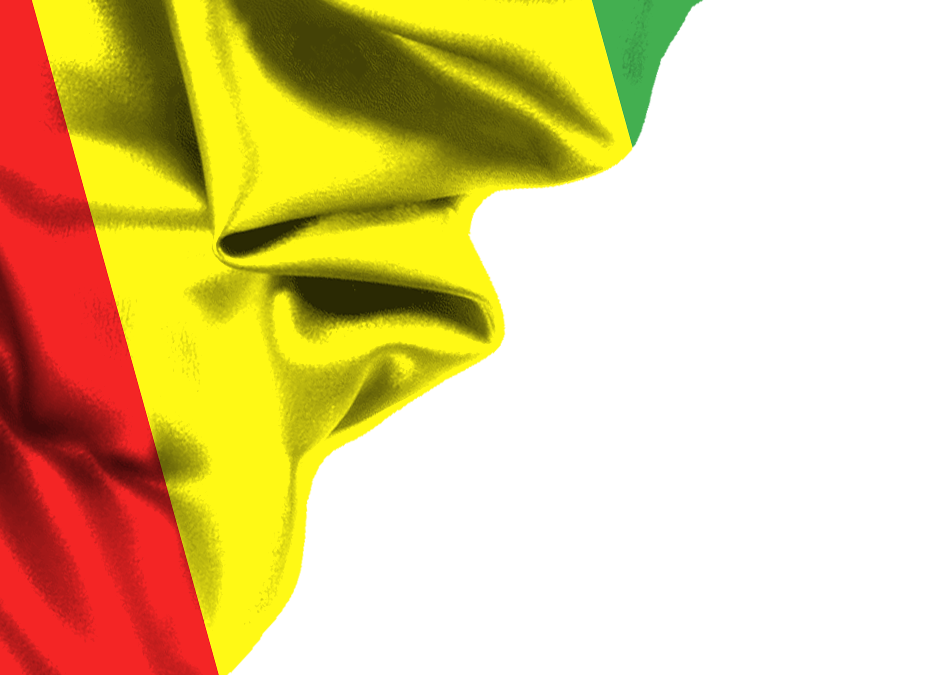 guinea flag corner design png