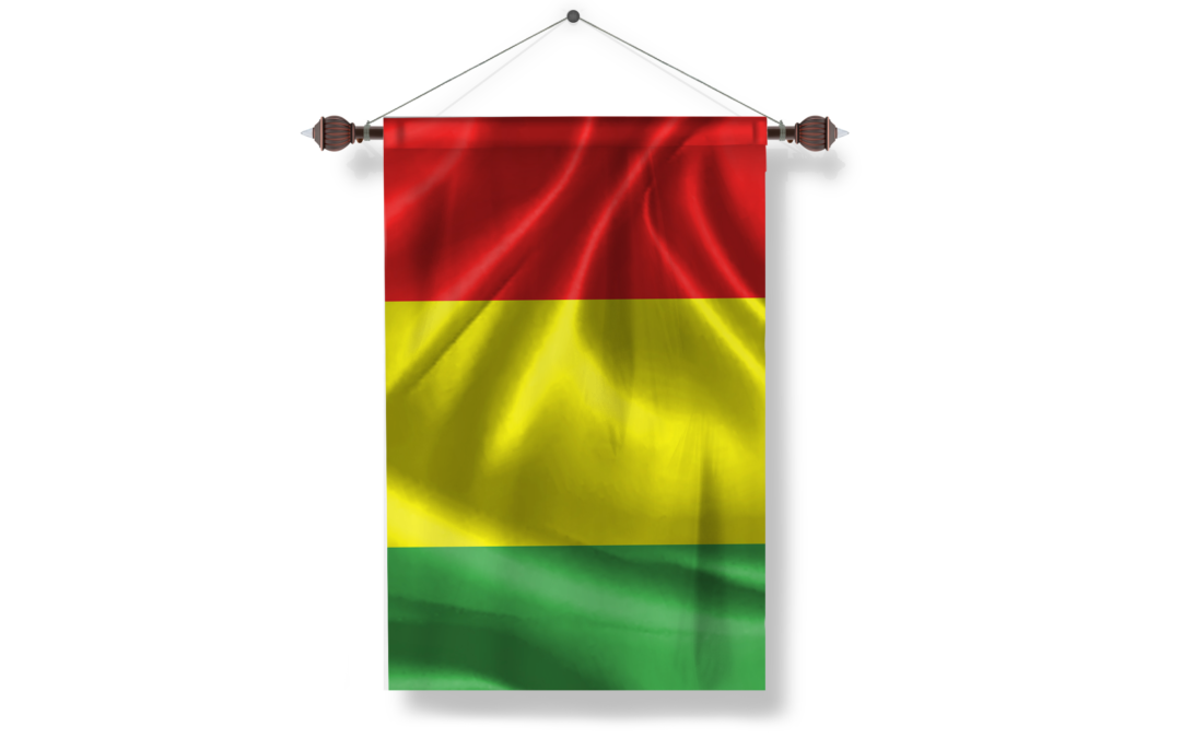 guinea flag png