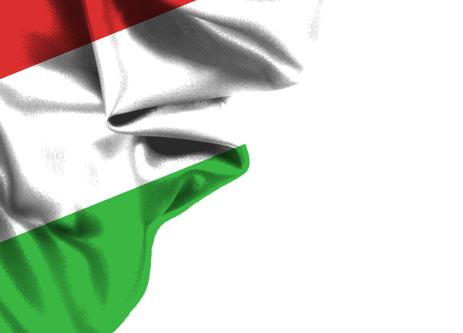hungary flag png corner design