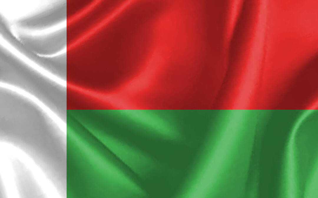 madagascar flag background