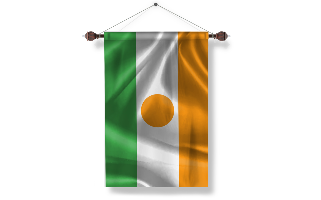 niger flag png