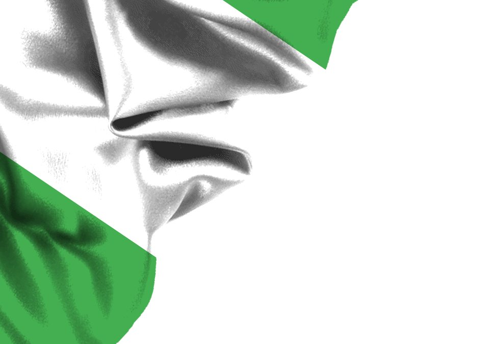 nigeria flag png corner design