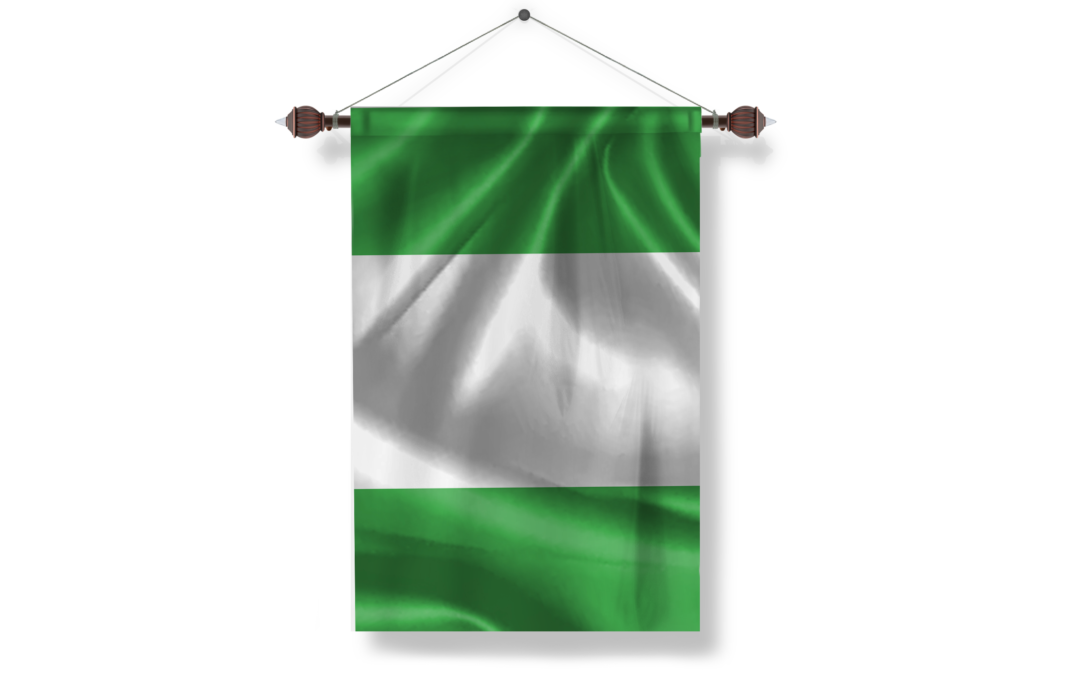 nigeria flag png