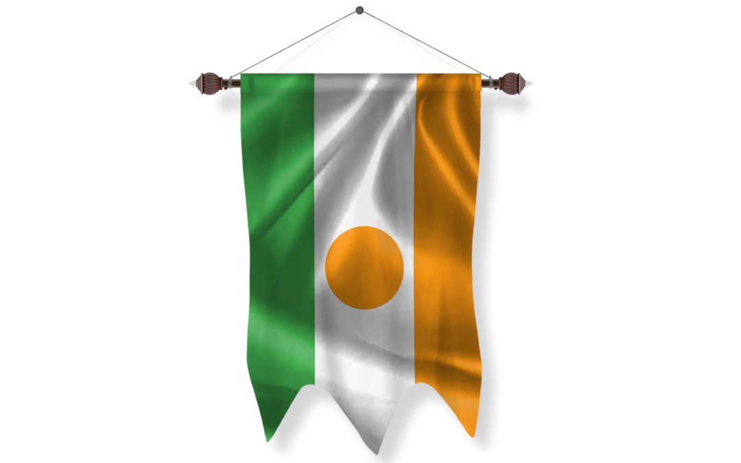niger Flag Pennant