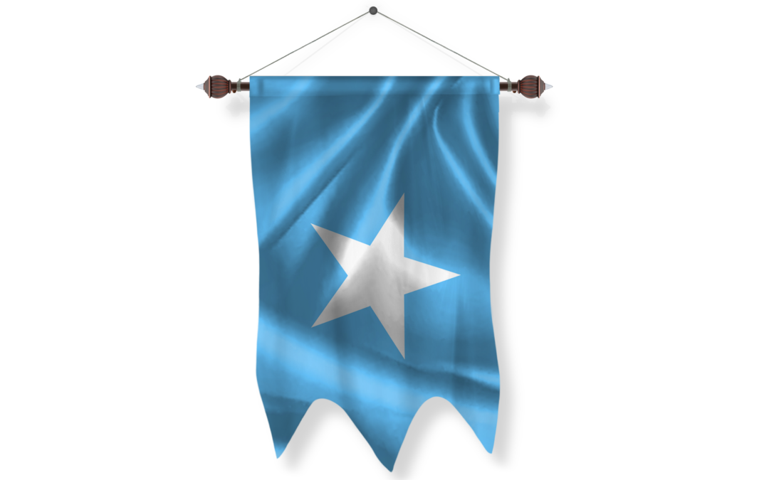 somalia Flag Pennant