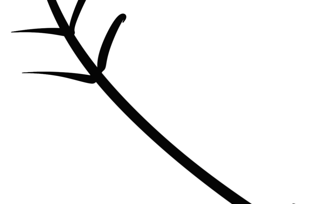 arrow (53)