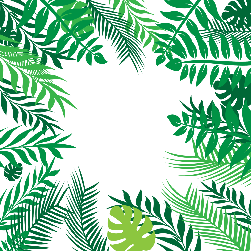 Realistic Tropical Frame - PNG Basket