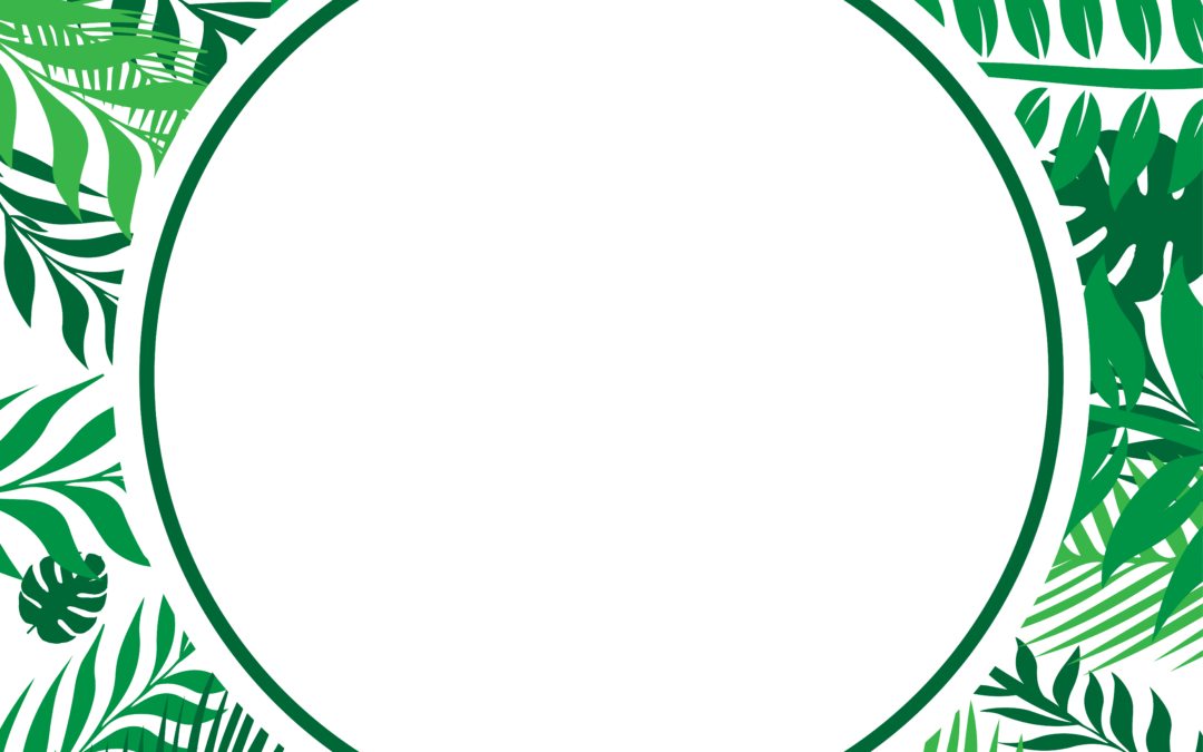 Tropical Frame Stock Illustrations