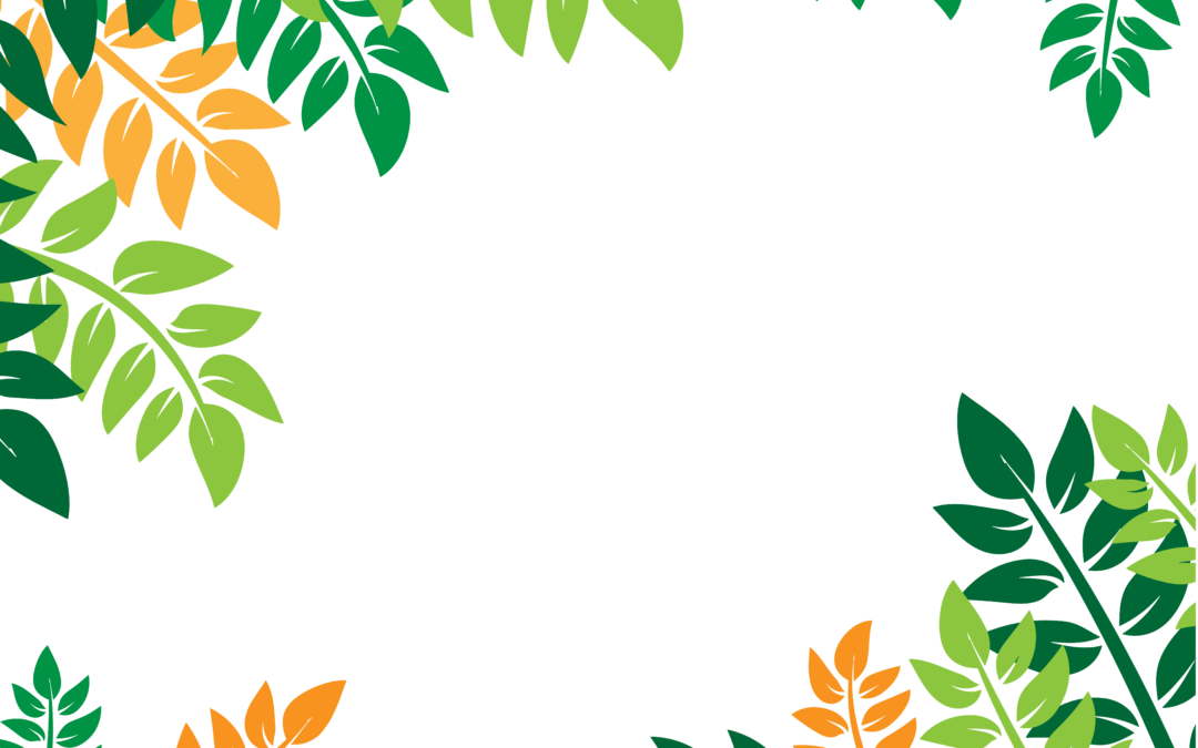 border tropical flower frame