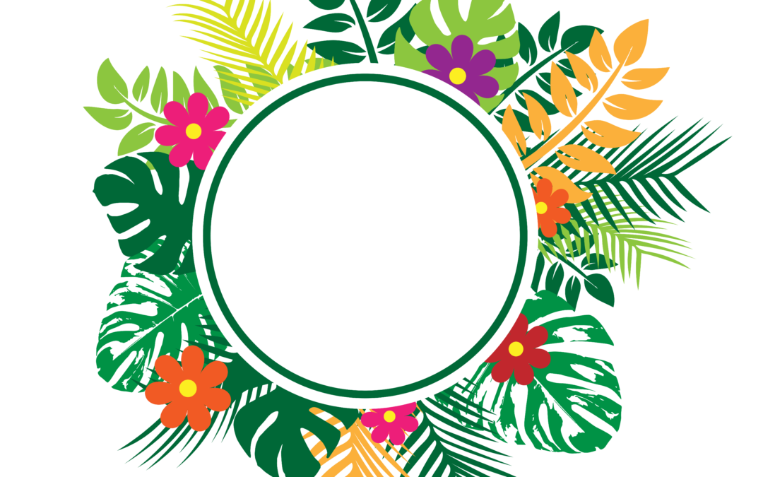 flower frame png