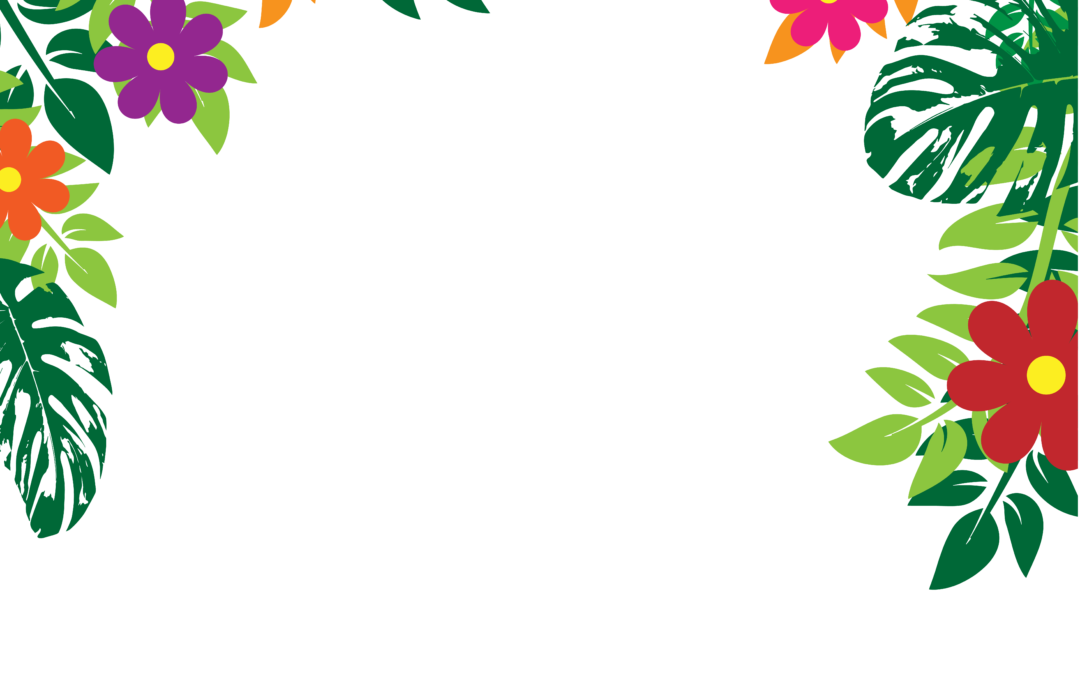 frame corner flower border png