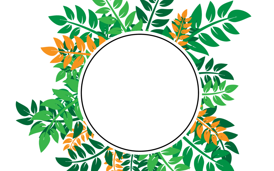 transparent tropical frame png