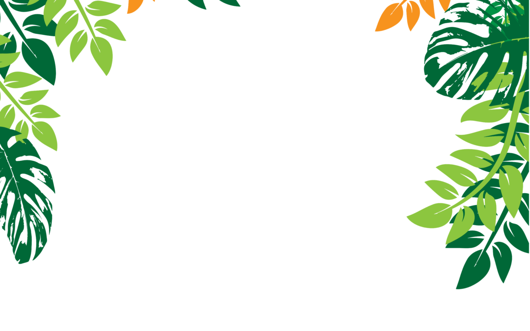 tropical botanical frame transparent png