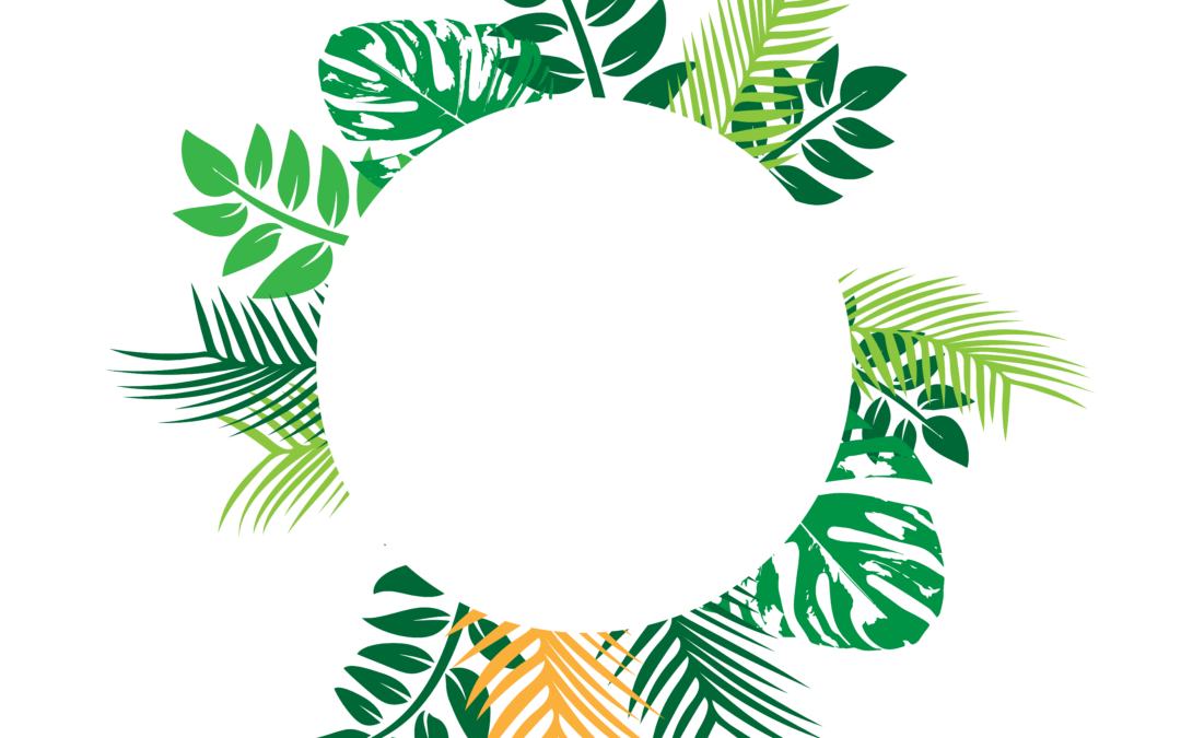 tropical frame design