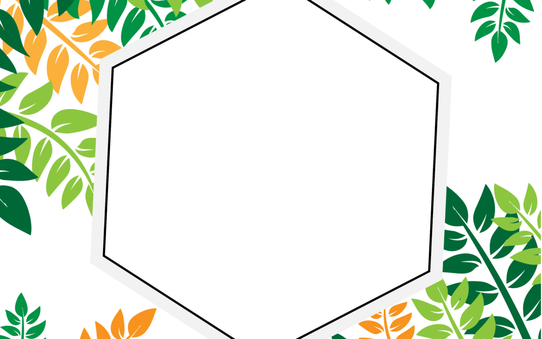 tropical frame png