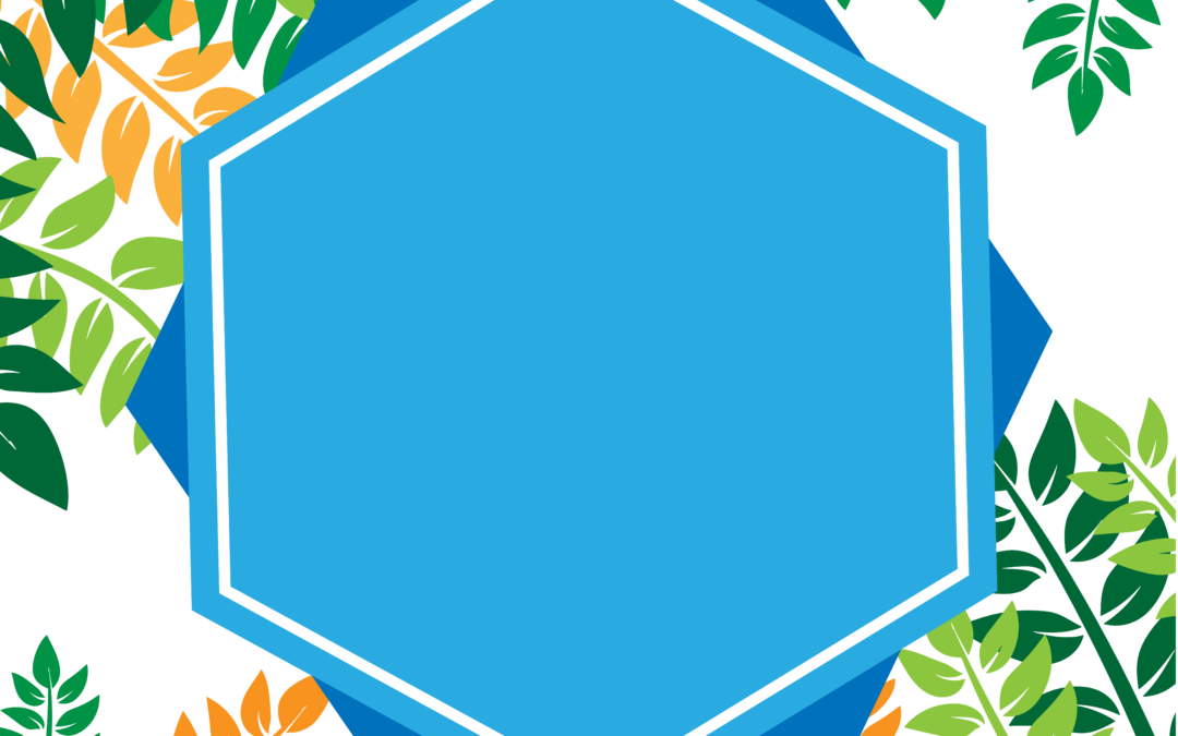 tropical frame png hd