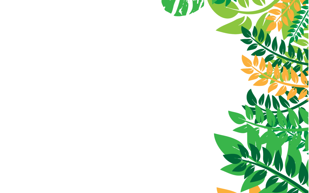 tropical framed wall art