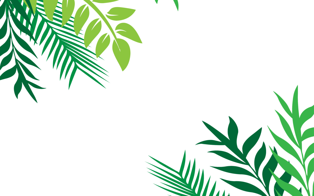 tropical framed wall art (2)