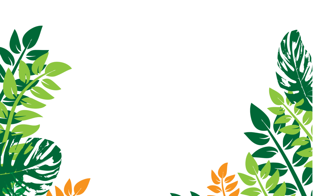 tropical leaves frame png