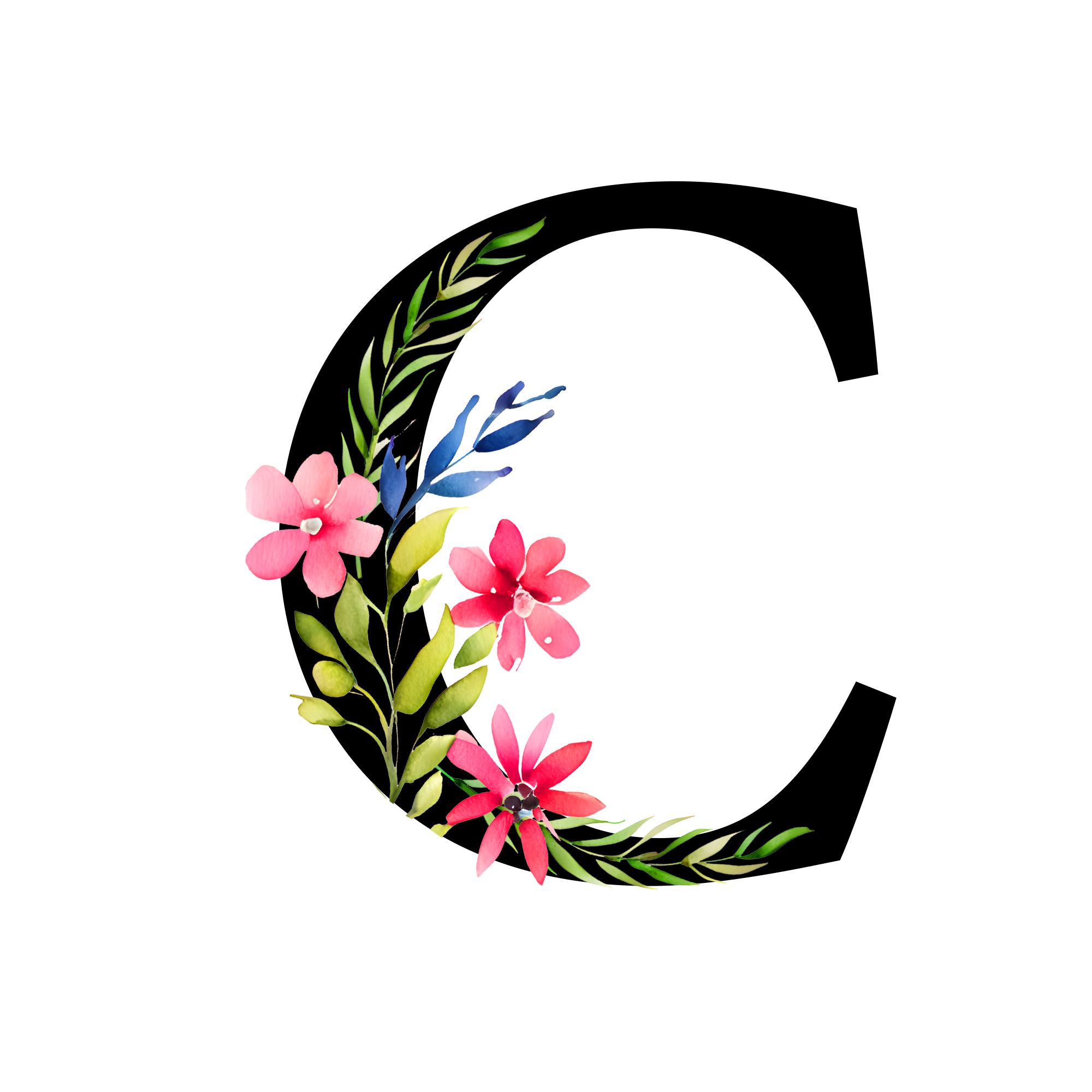 Free Transparent Floral Alphabet Illustration letter C