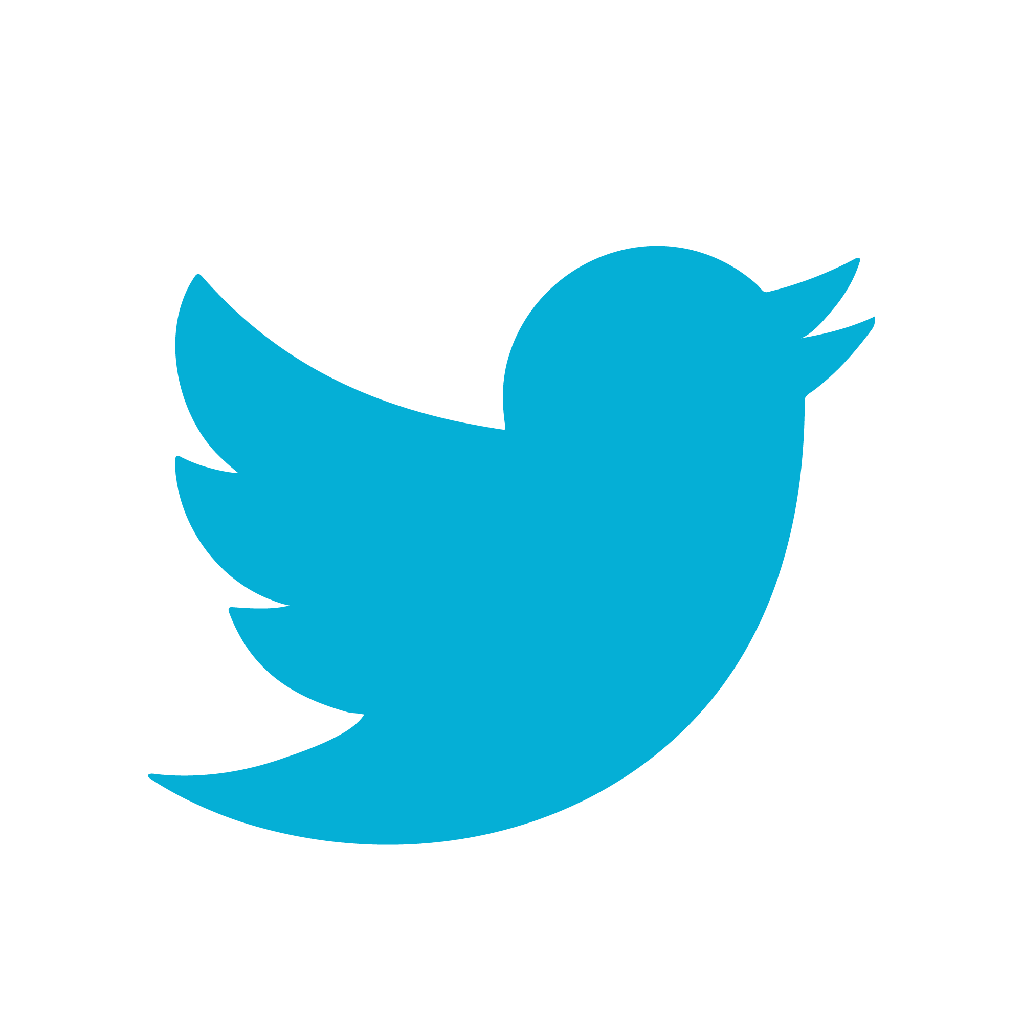twitter bird logo png
