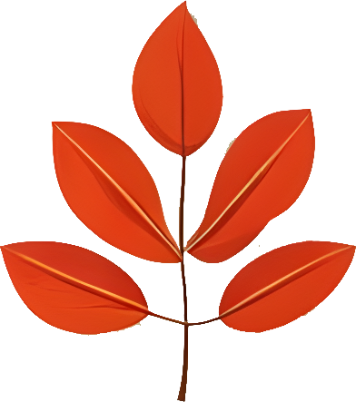 Downloadable Transparent Leaf PNG Image
