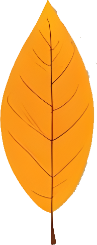 Downloadable Transparent Leaf PNG Image_18