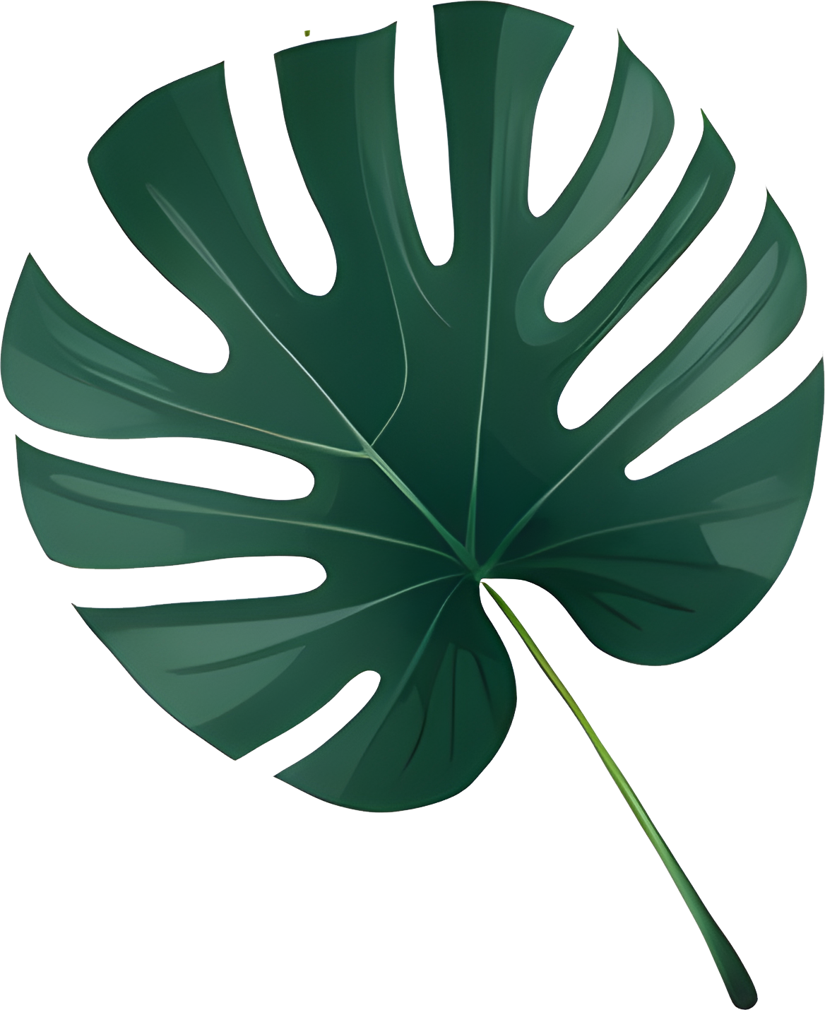 High-Res Leaf PNG Green Foliage Image, Tropical different type exotic leaves set. Jungle plants. Calathea, Monstera and different style of palm leaves_2
