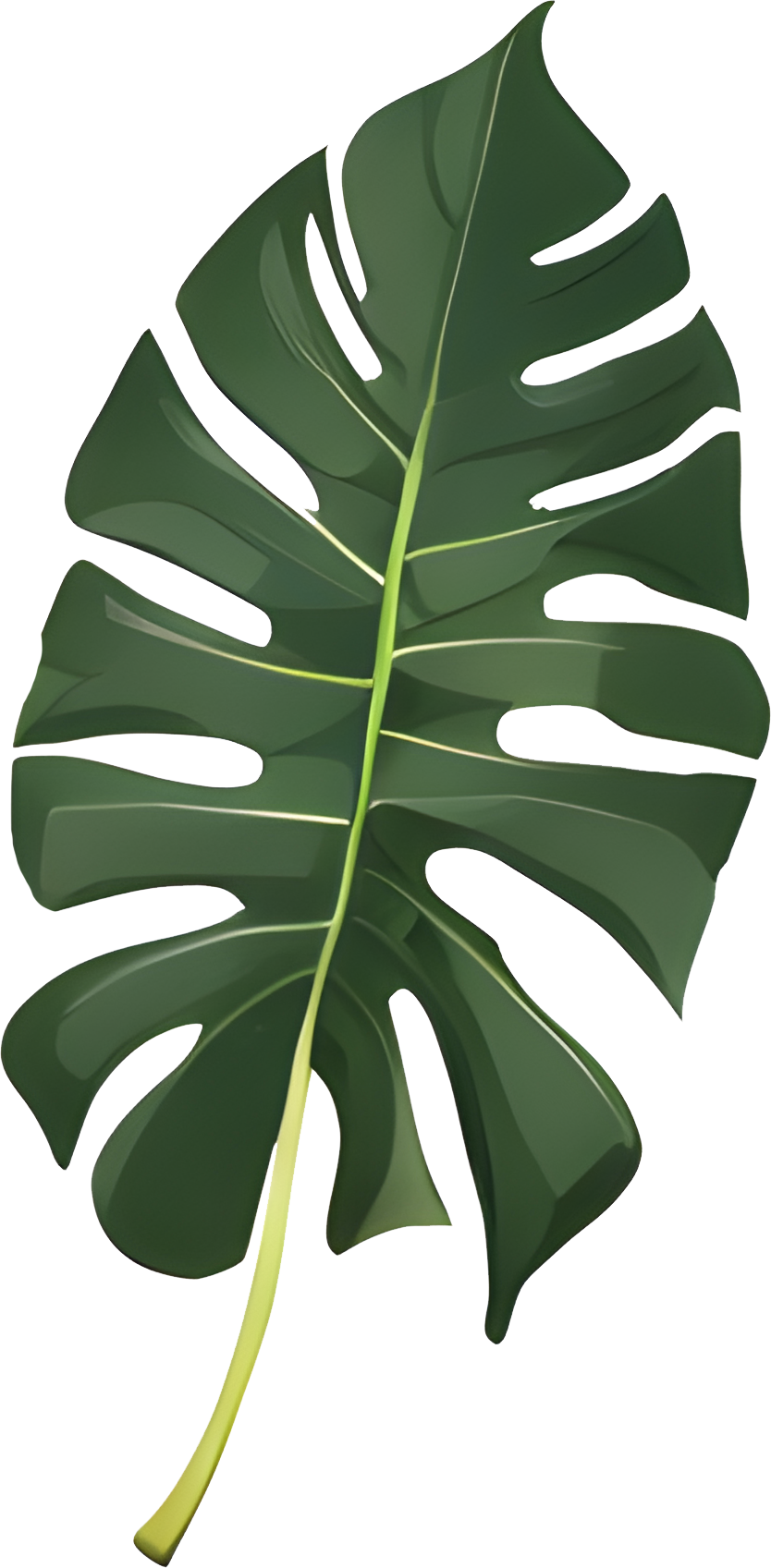 High-Res Leaf PNG Green Foliage Image, Tropical different type exotic leaves set. Jungle plants. Calathea, Monstera and different style of palm leaves_9